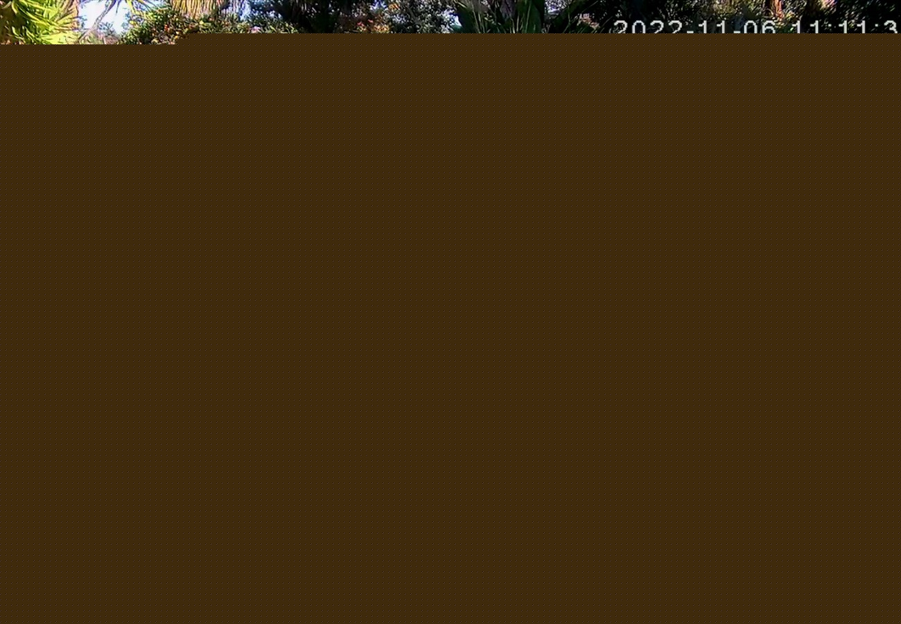 bandicam 2022-11-06 10-07-43-472