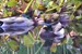 bandicam 2023-02-26 10-36-45-638