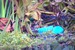 bandicam 2023-02-26 12-40-20-137