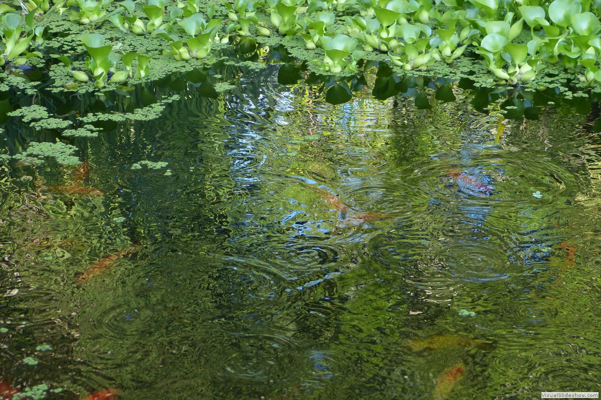 P1600648