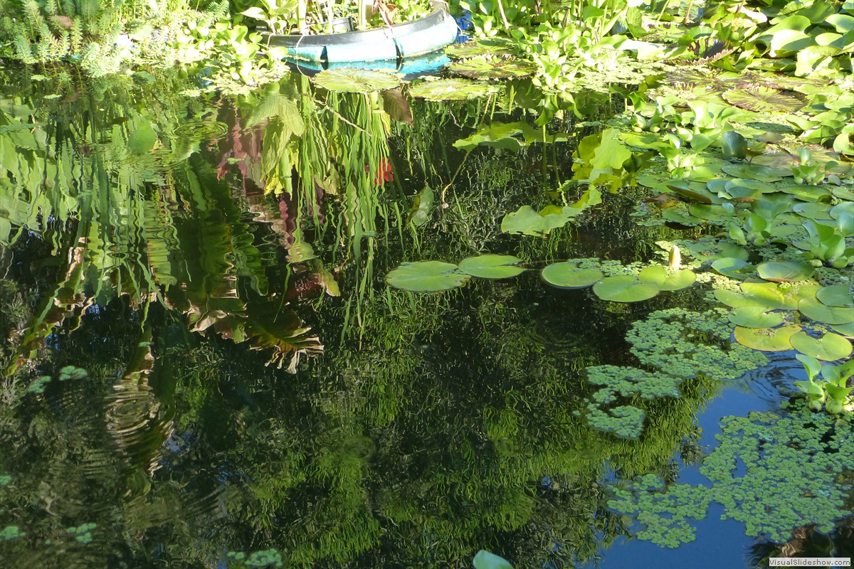 P1600653