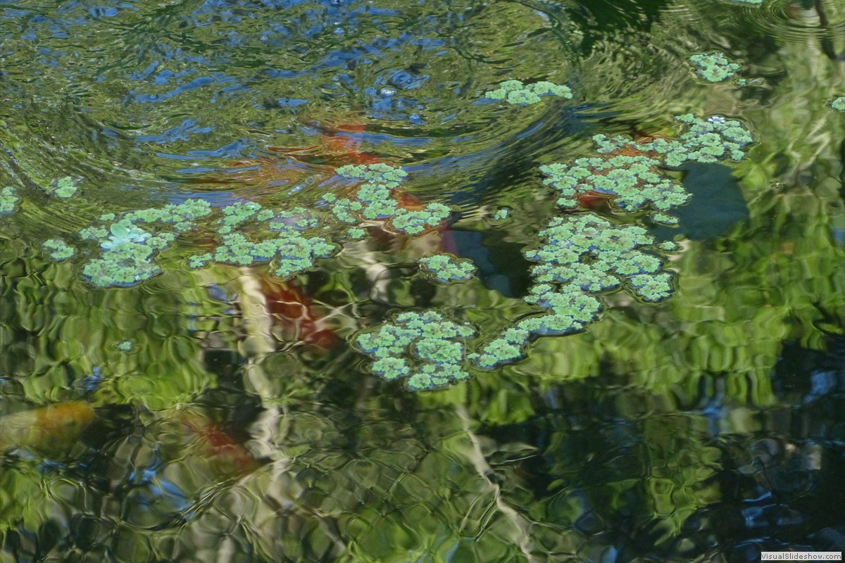 P1600659