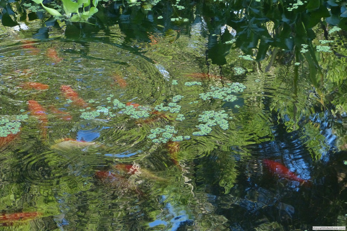 P1600661