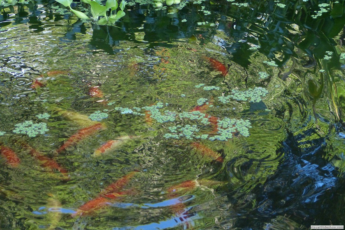 P1600662