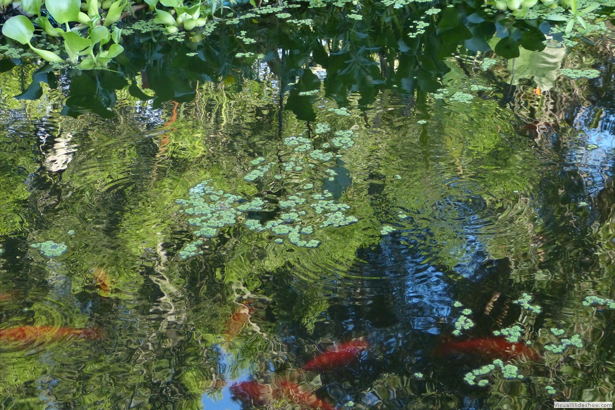 P1600664