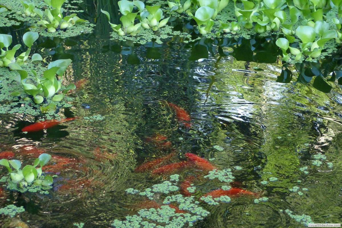 P1600667