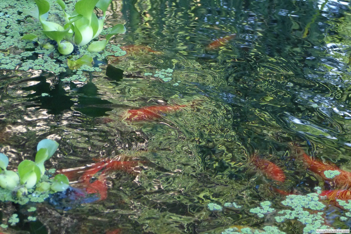 P1600668