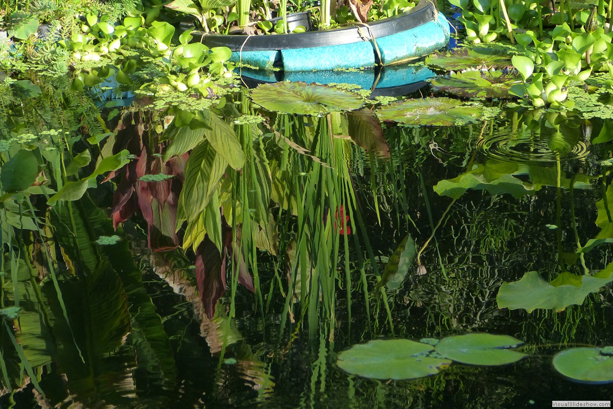 P1600670