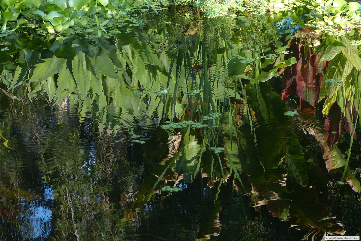 P1600673