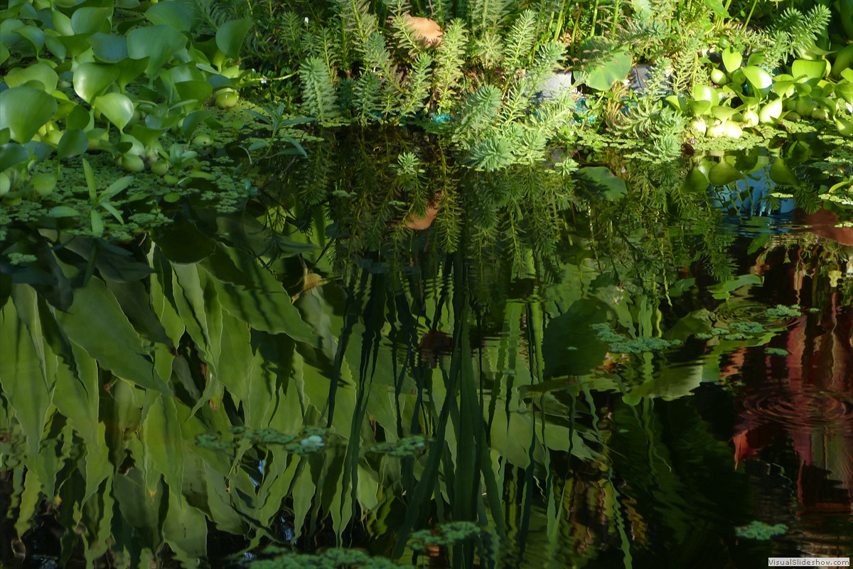P1600674