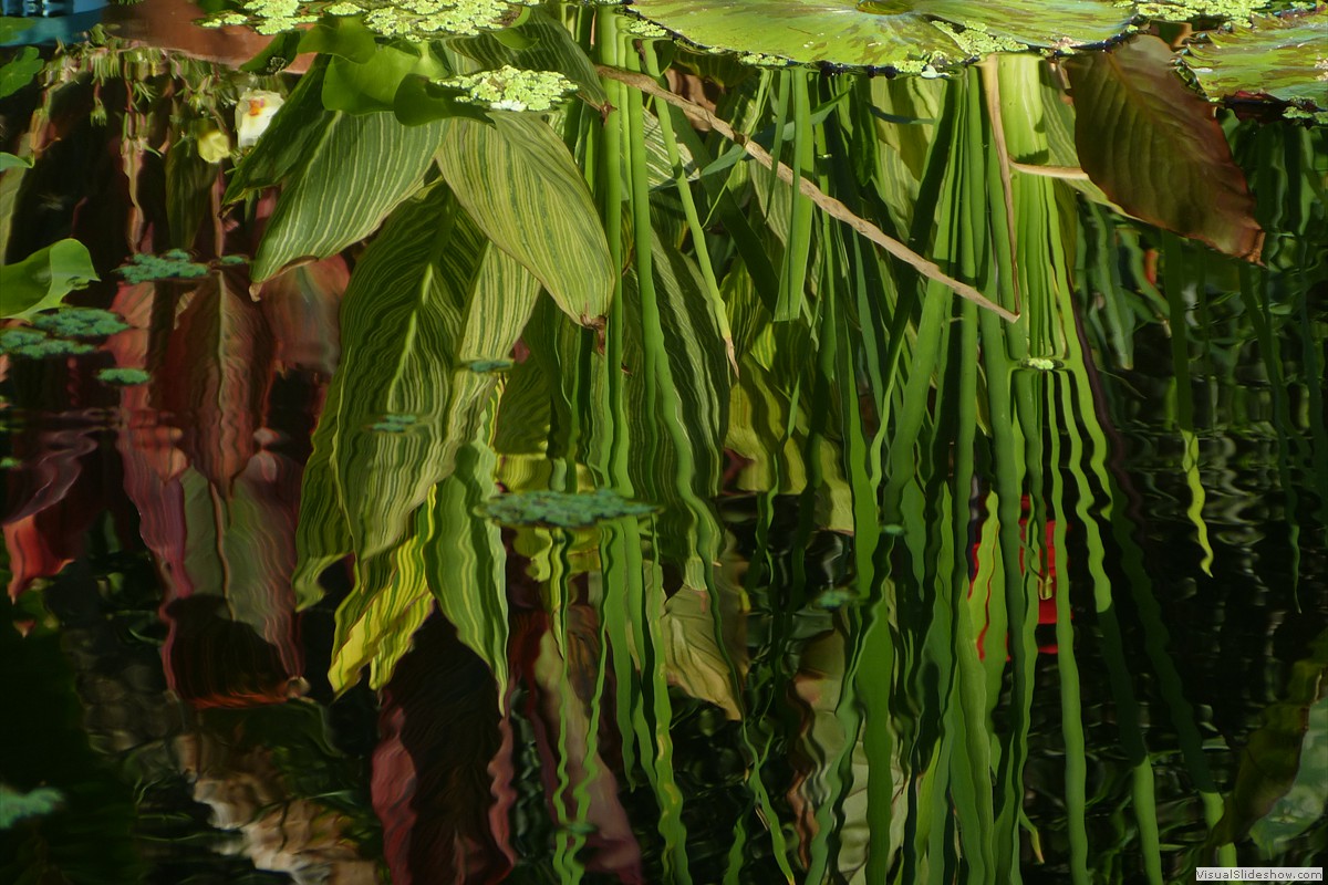 P1600676