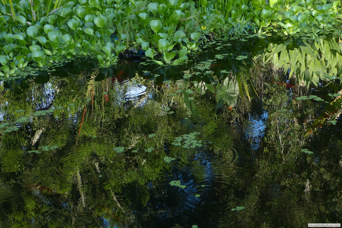 P1600680