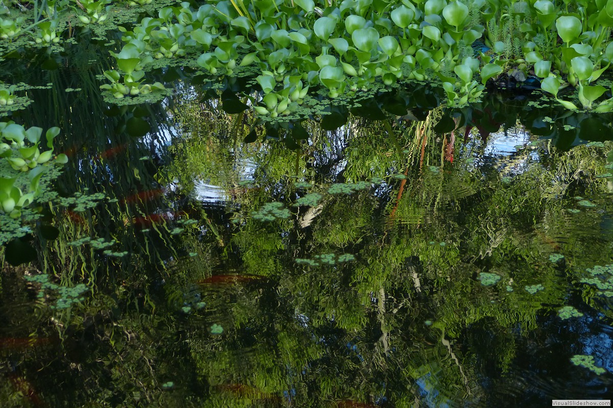 P1600681