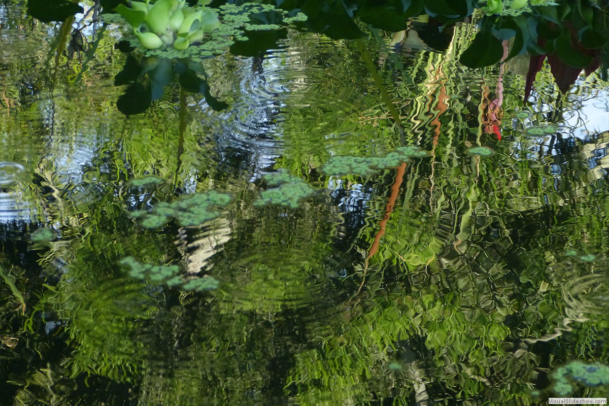 P1600683