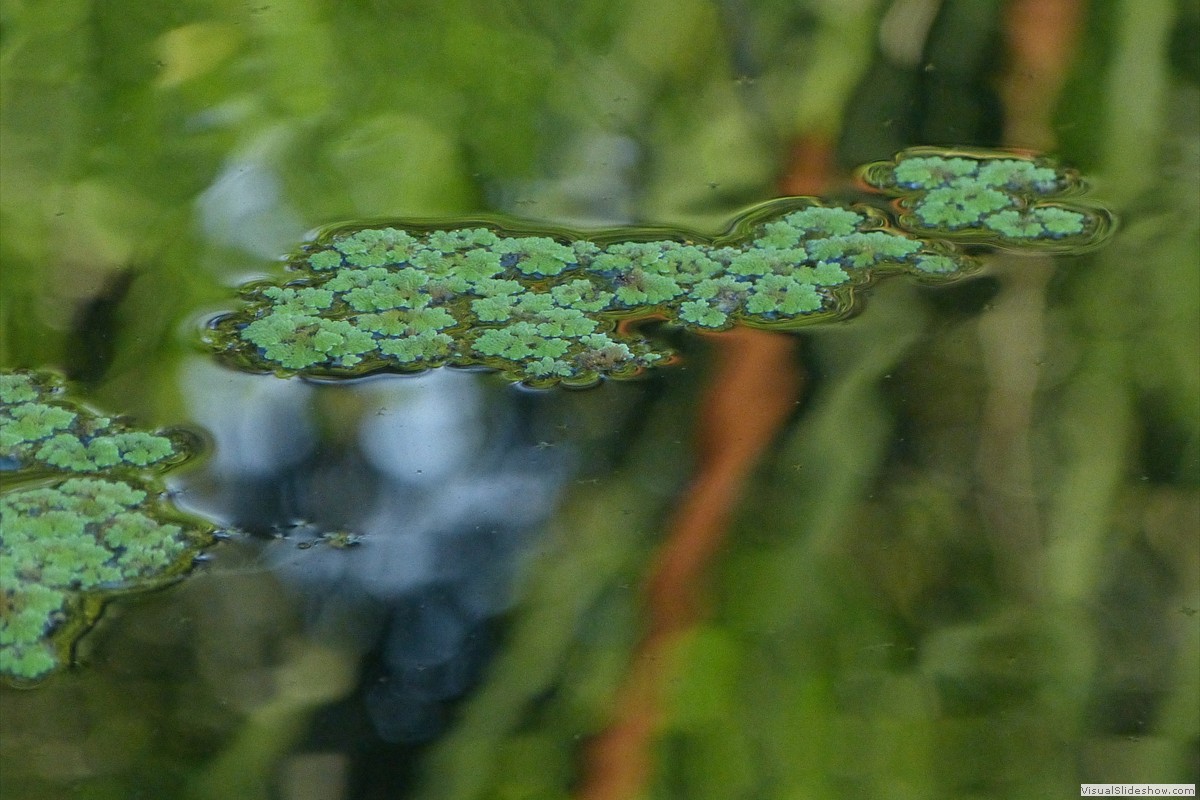 P1600685