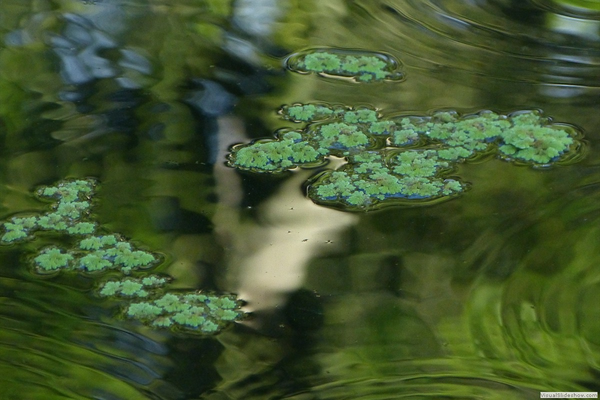 P1600687