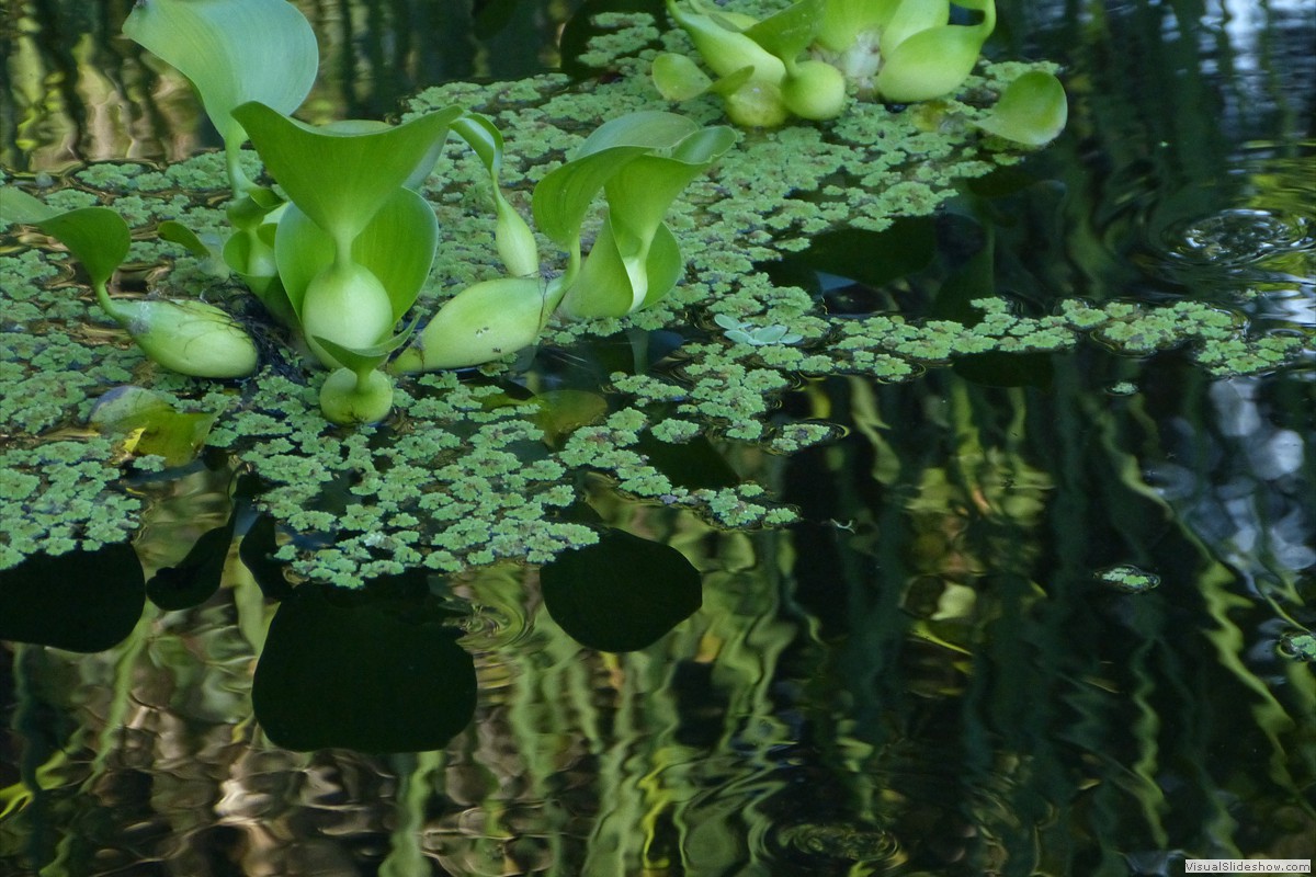 P1600688