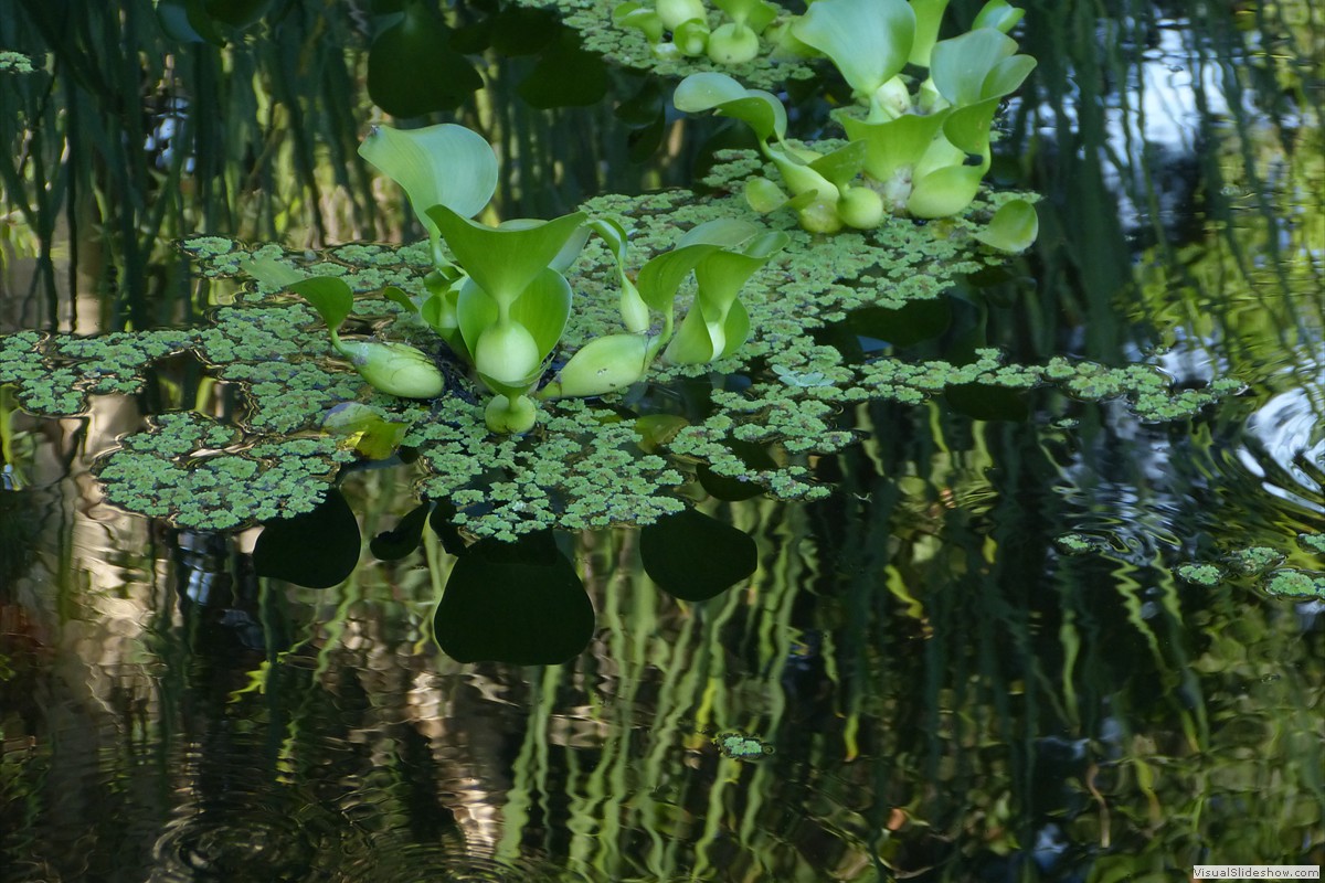 P1600689