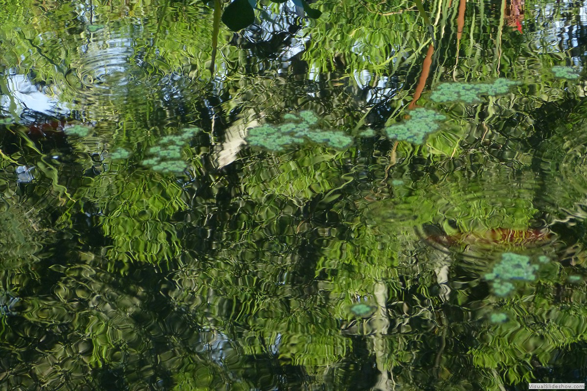 P1600690