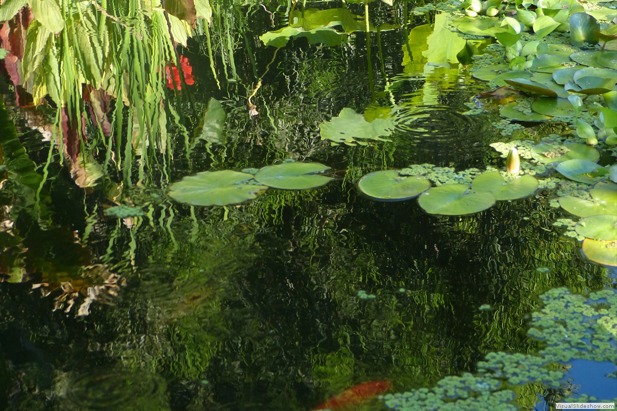 P1600693