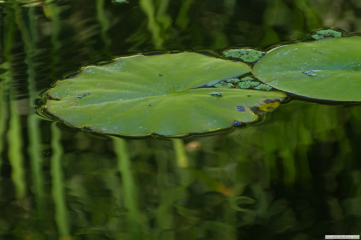 P1600695