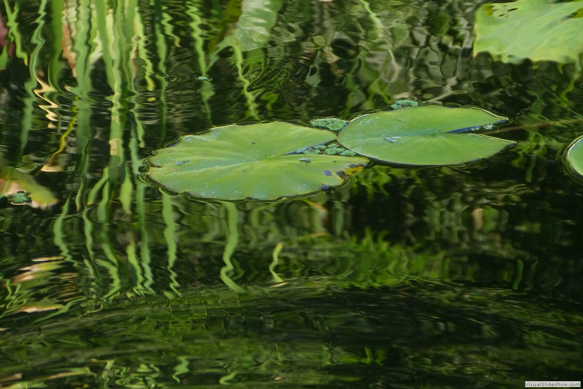 P1600696