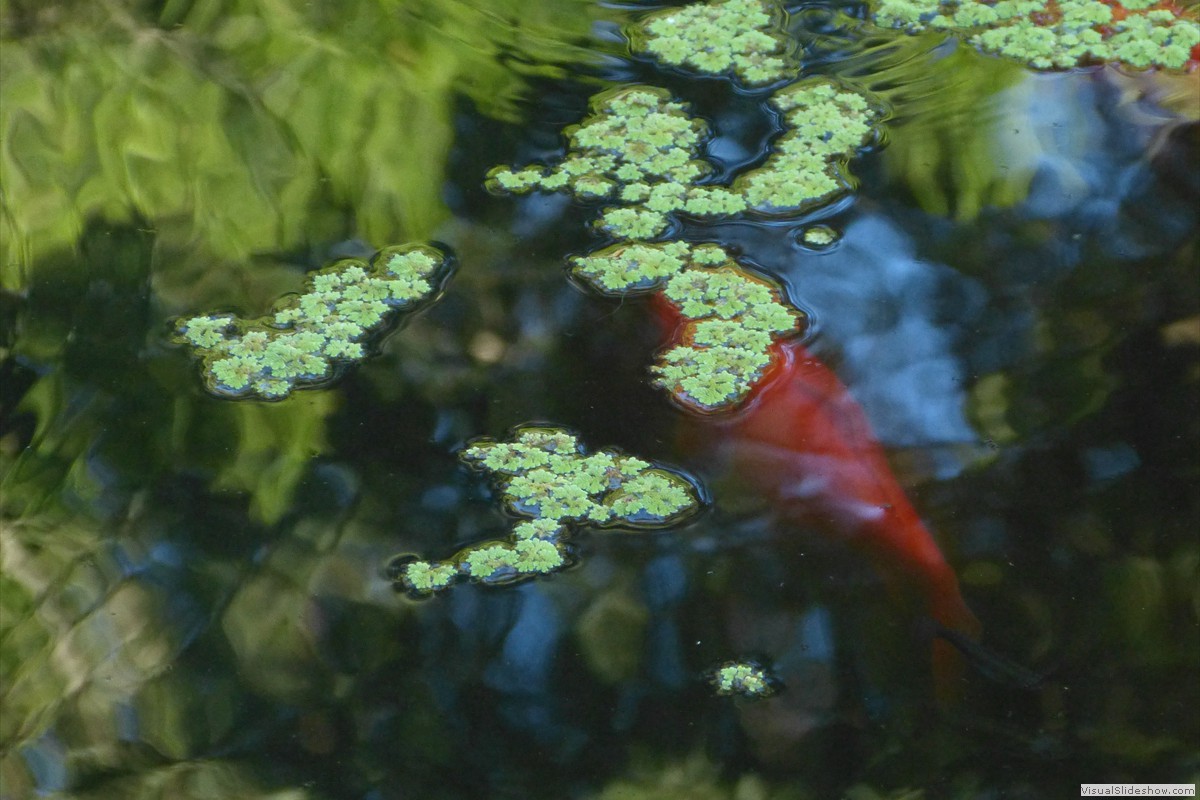 P1600708