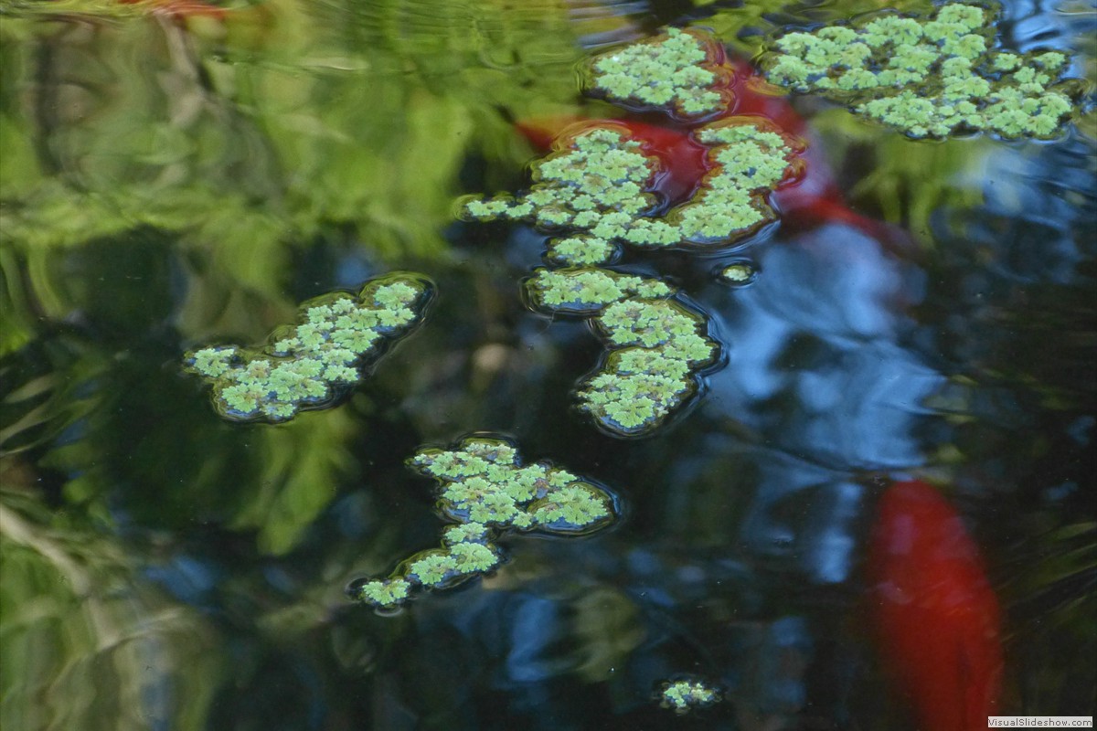 P1600709