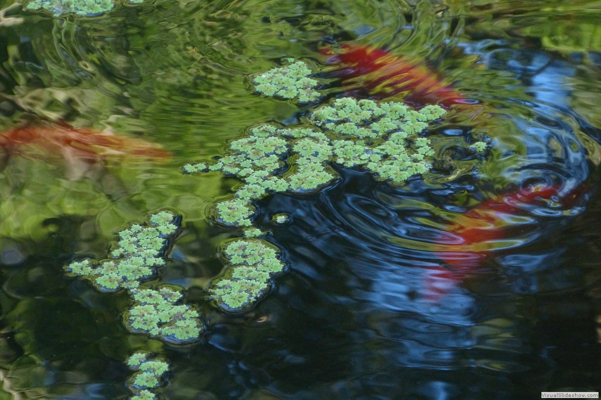 P1600710