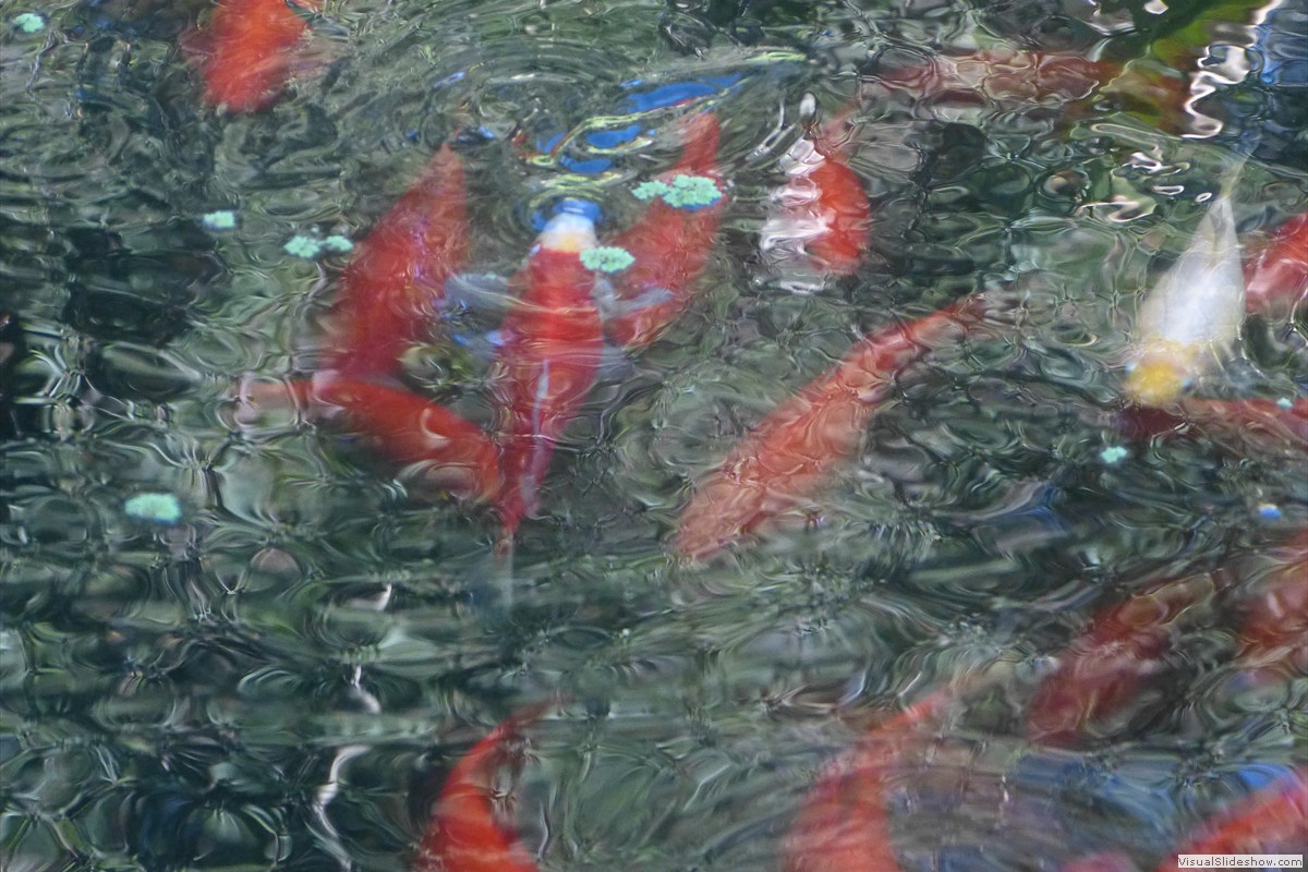 P1600711