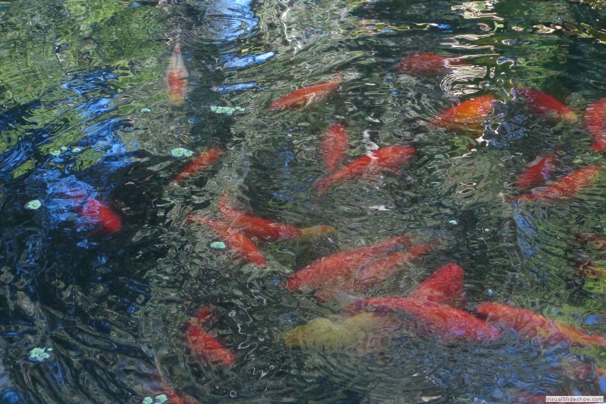 P1600713