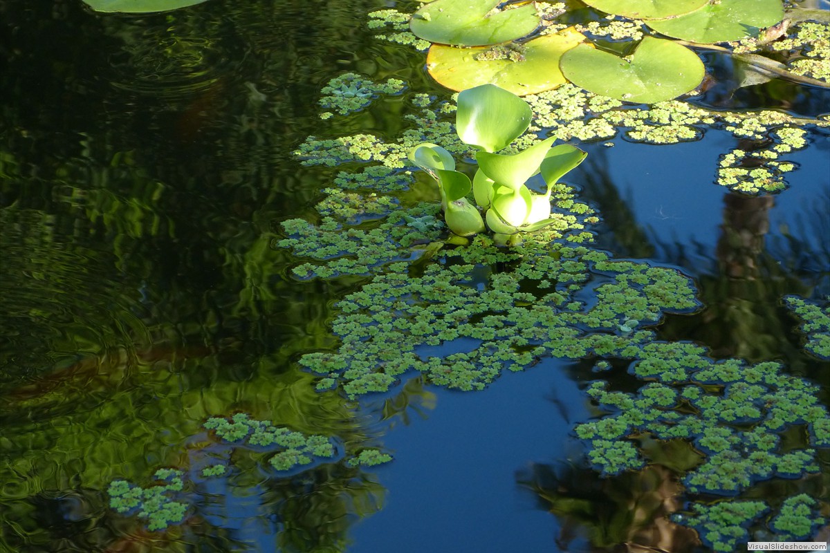 P1600718