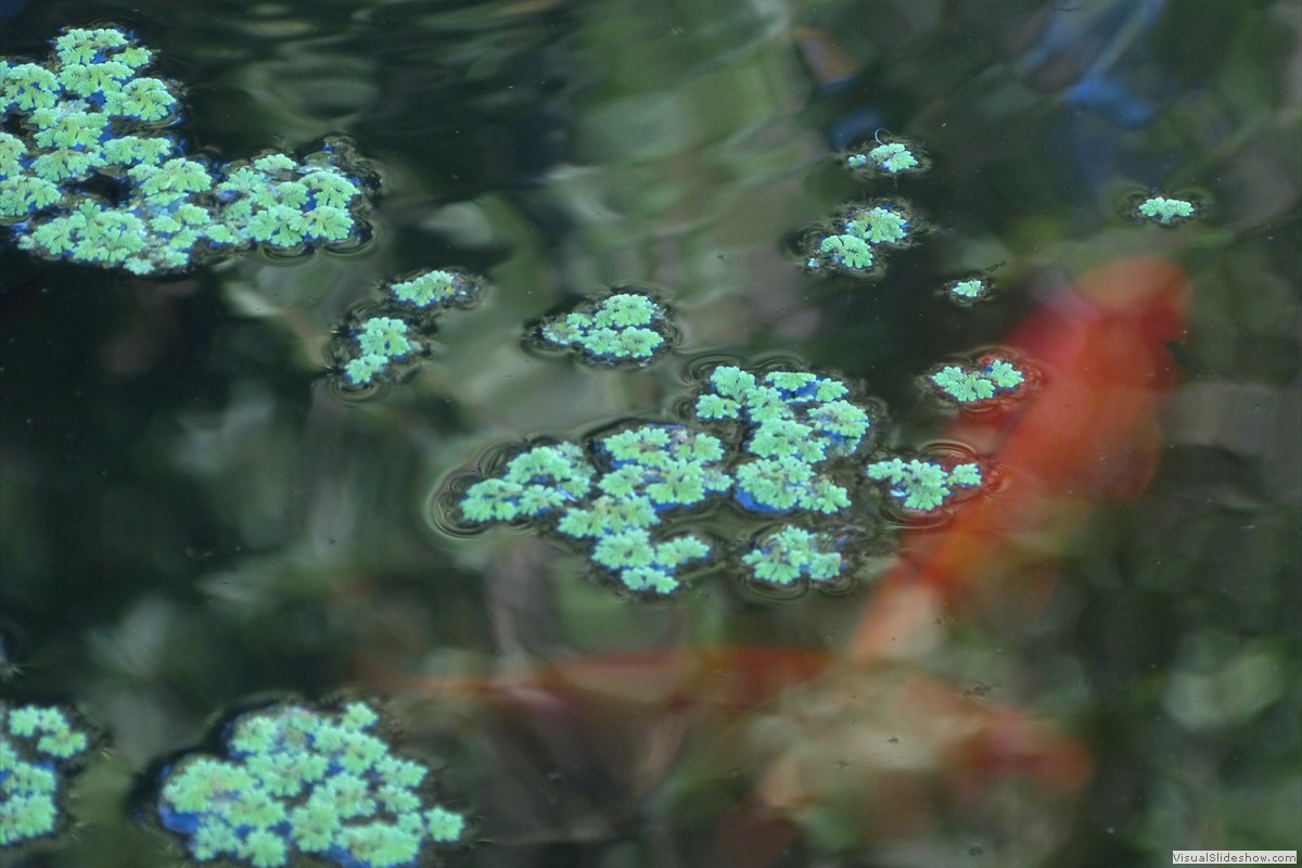 P1600726