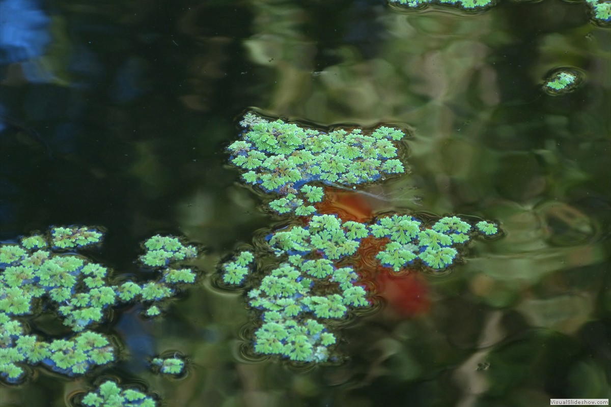P1600733