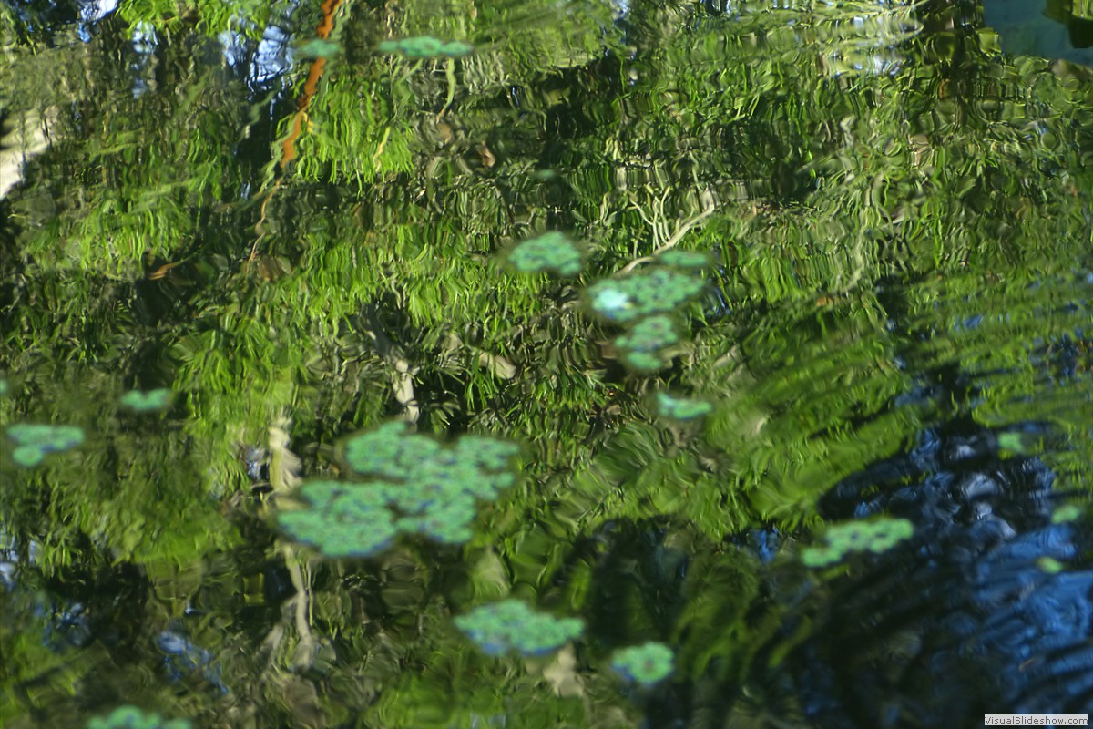 P1600736