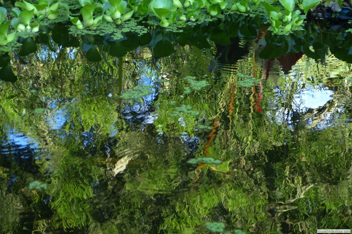 P1600739