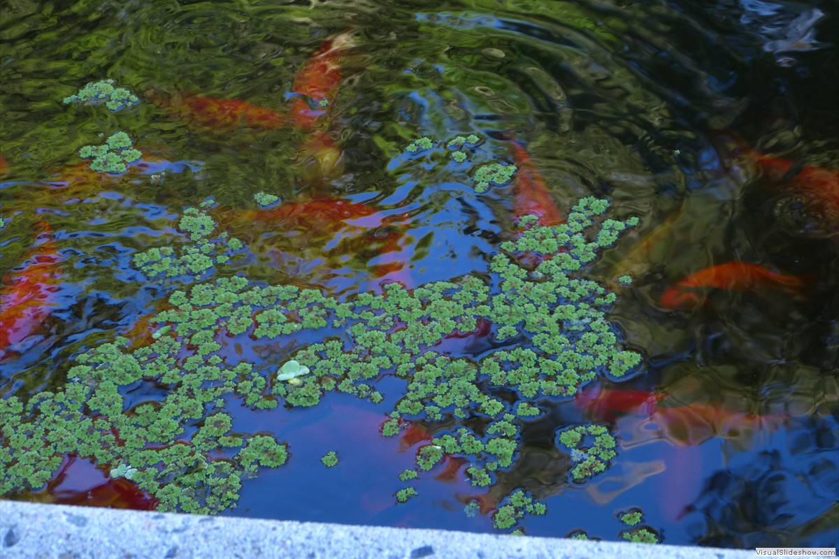 P1600751