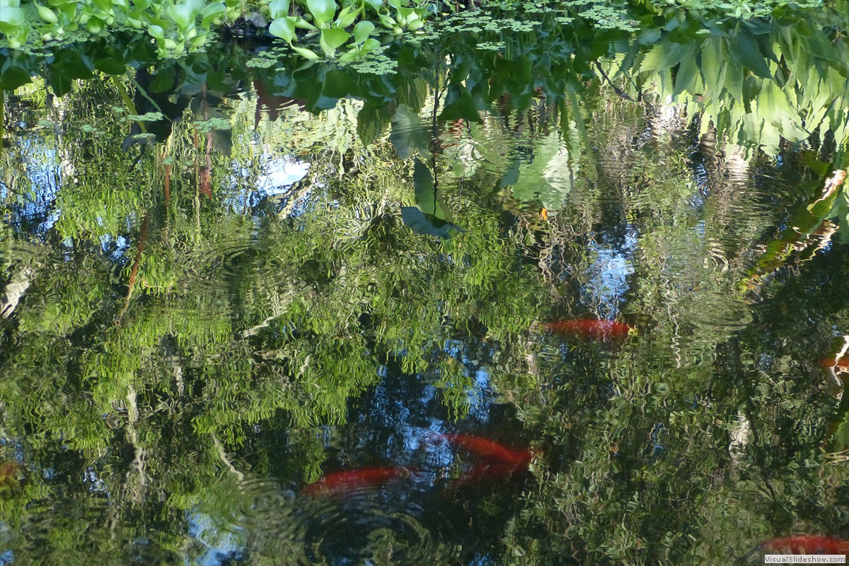 P1600764