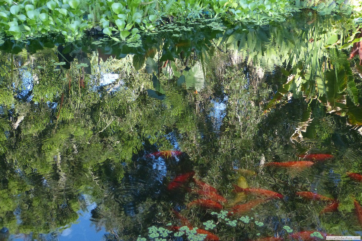 P1600766