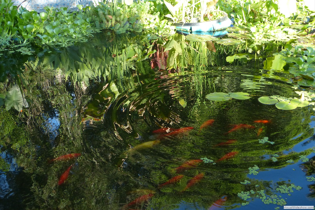 P1600767