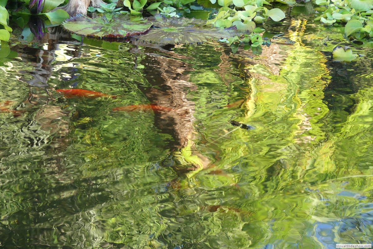 P1070155