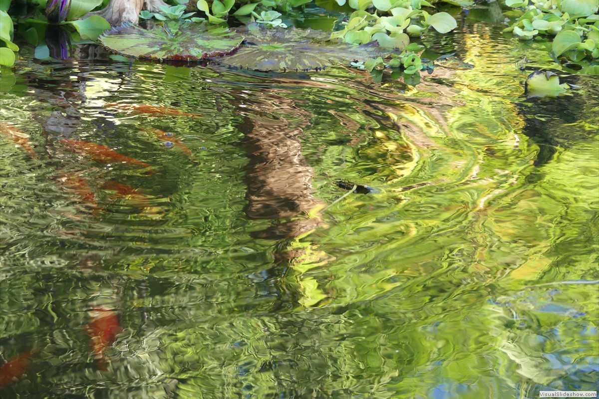 P1070157