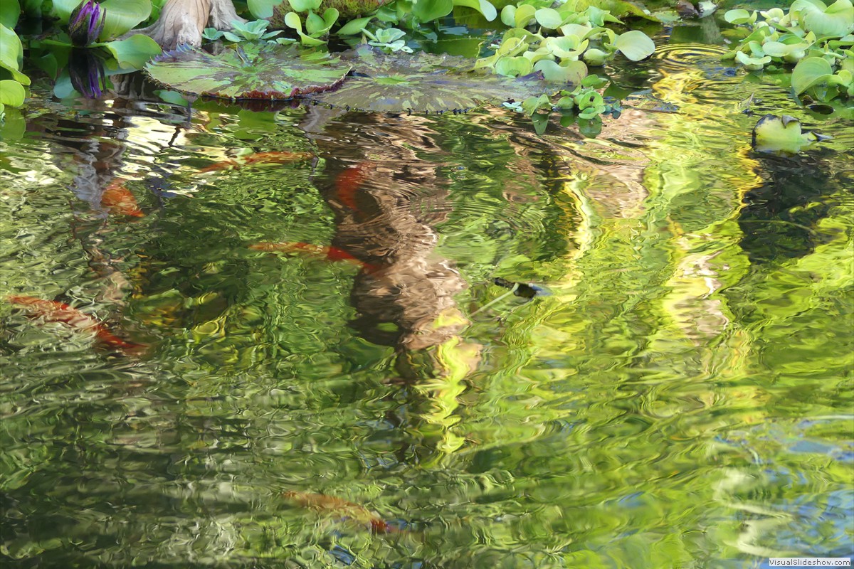 P1070159