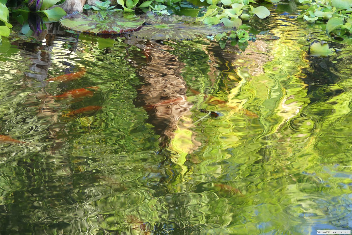 P1070161
