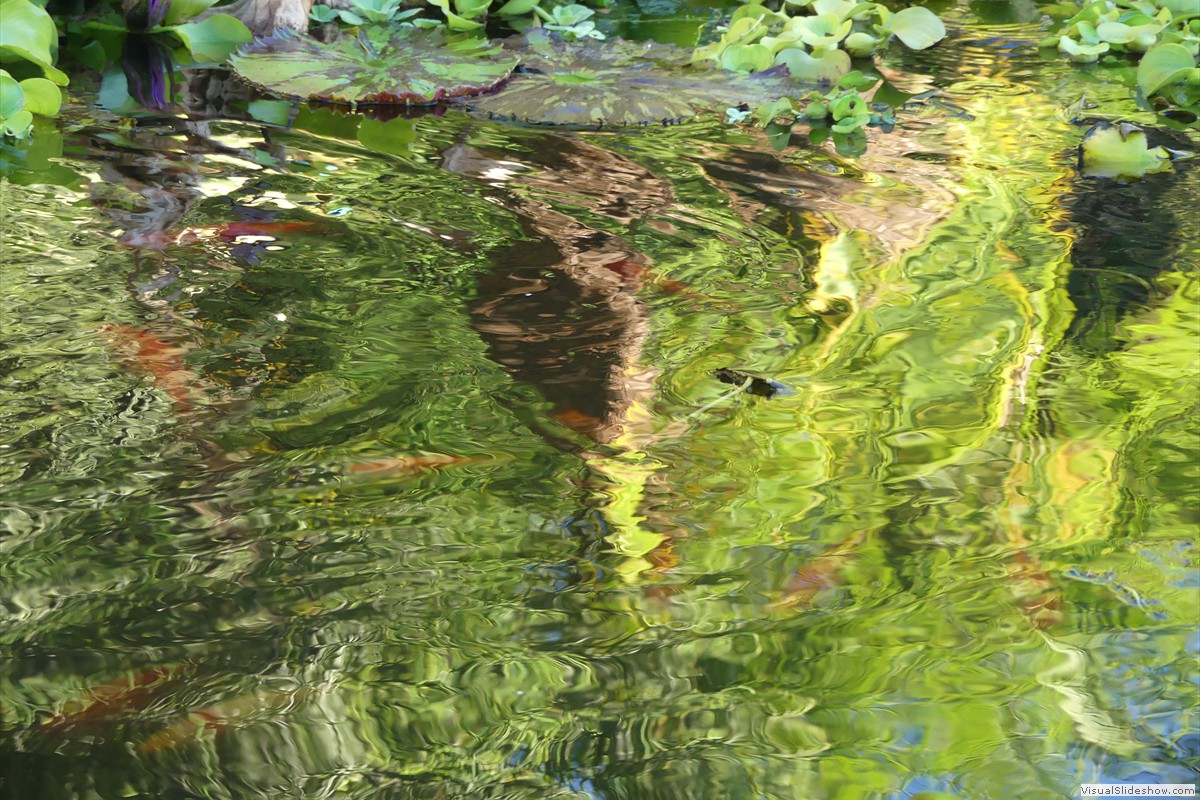 P1070163