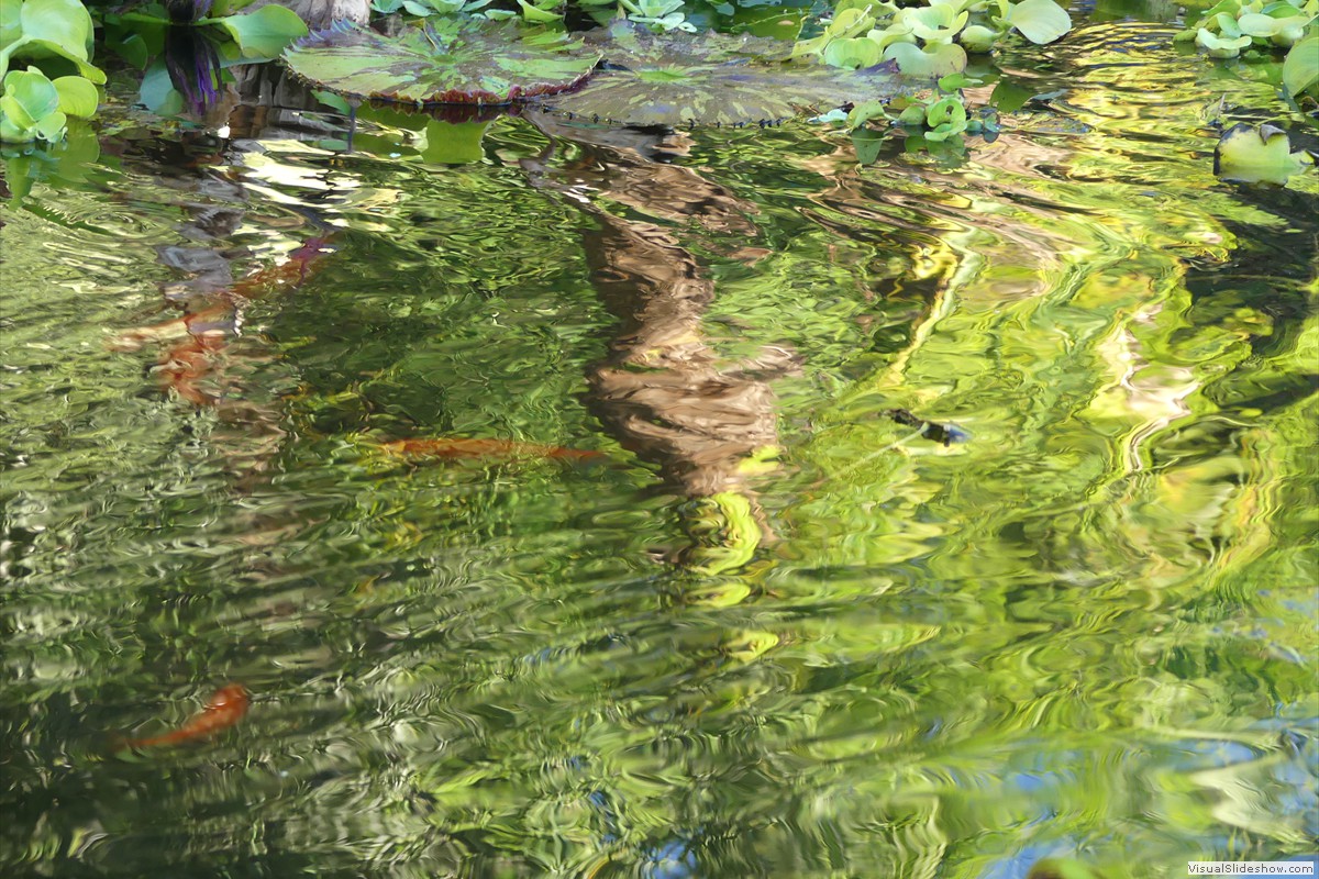 P1070167