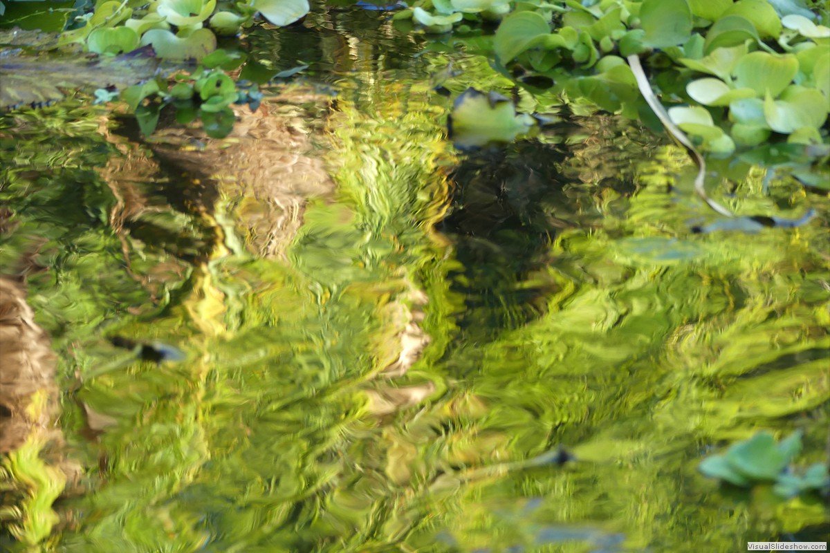 P1070344