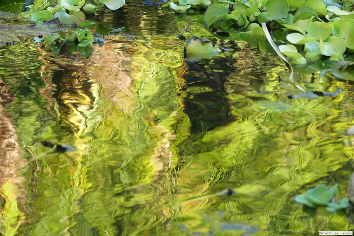 P1070346