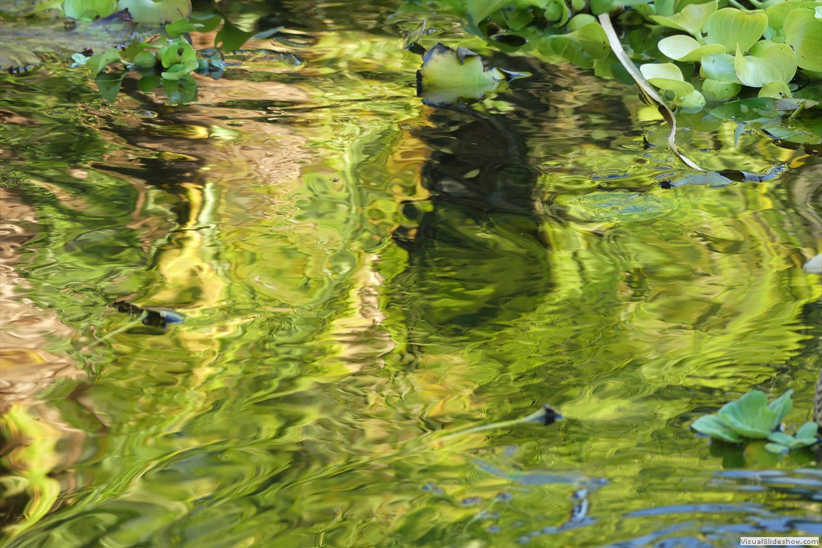 P1070354