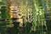 P1070229